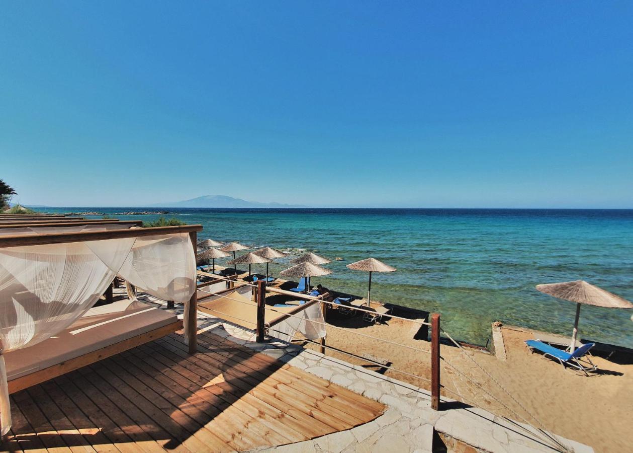 Tsamis Zante Suites (Adults Only) Psarou  المظهر الخارجي الصورة Beach in Agia Marina